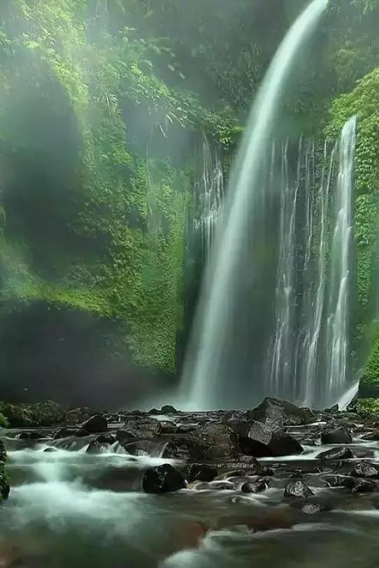 专注问答,尽在成都什么地方可以买到基准水泥?蜗牛